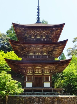 ����������������