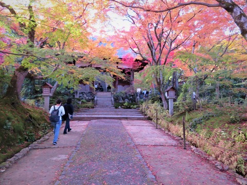 �����������դ˱����β���