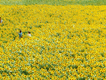 �Ҥޤ��Ȫ��ͷ�ֿ�