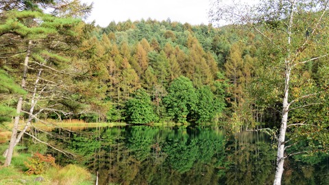 5¡¦¹ÈÍդˤ¤¤Þ°ìÊâ