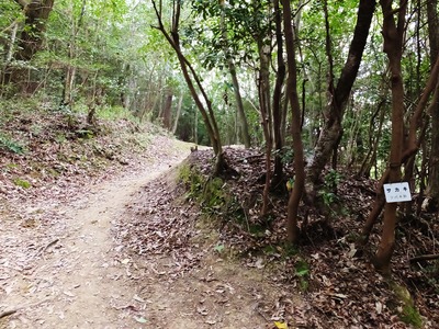 道幅も狭く、起伏も急に・・・
