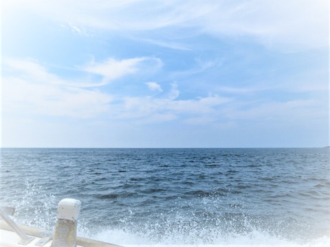 ⓪ÈôË÷¤ò¤¢¤²¤Æ