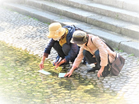 ¡¡É¤ß¤¿¤é¤·Àî¡É¤Ç¿åÀꤤ¤ò¤¹¤ë