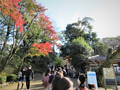 ����ϻ������������ˤʤ�ִѸ���_LI