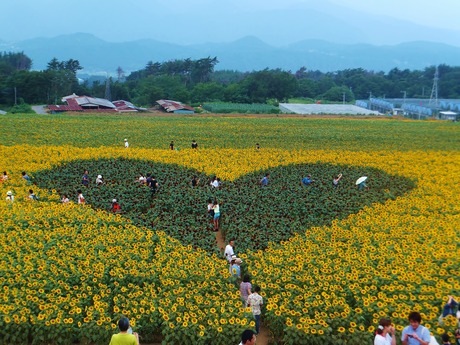 �ϡ��ȤΥޡ���