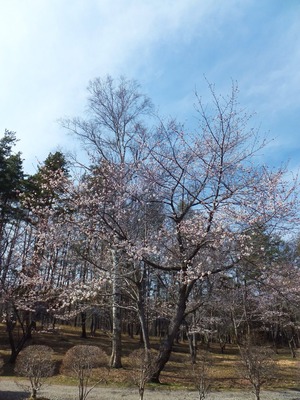 Çò³ò¤Èºù¡¢¿·¥¹¥Ý¥Ã¥È