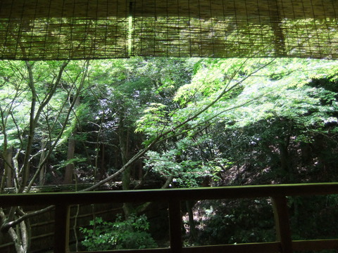 2011_06142011ǯ6��14������0881