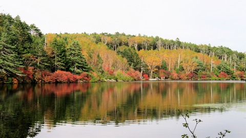 ����Ӥι���