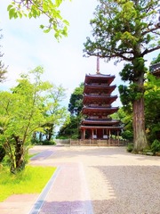 14����Ʋ�����鳤�������θ޽���