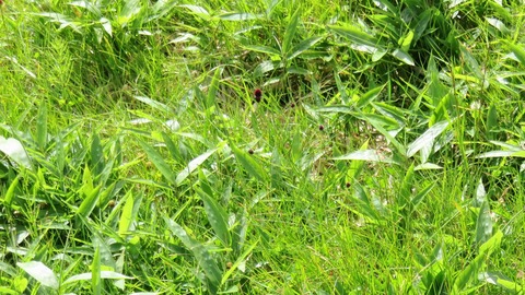 22���⤦���⥳�����餤�Ƥ��ޤ���