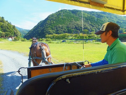 �Ϥ����ʤ���ƻ��ΰ���򤷤Ƥ���ޤ�