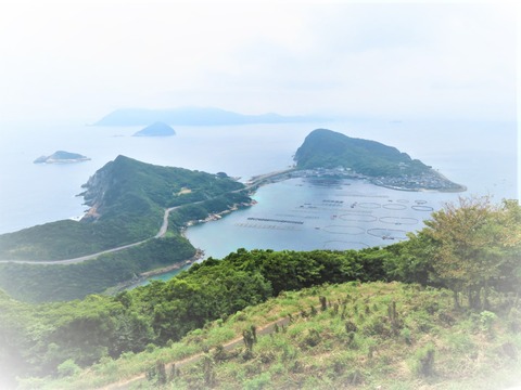 ⓪ÂçÆ²»³Å¸Ë¾Â椫¤éÇðÅç¤ò¸«²¼¤í¤¹