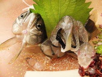 ¡É¤»¤´¤·¡É¡¢¤¤¤¤¤Í¤§