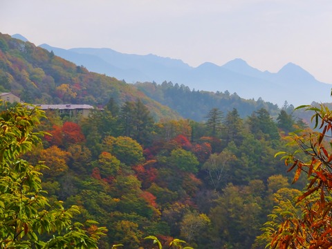 1�����Ť���ȩ