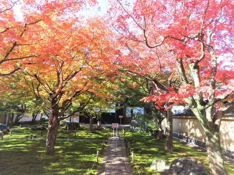 ���������߱�������ι���