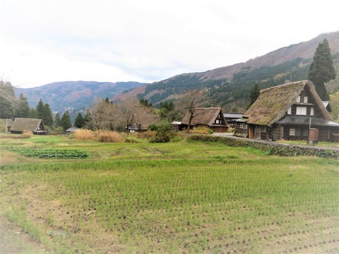 �����ҹ羸¤�꽸��