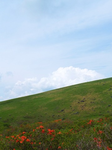 レンゲツツジと丘陵と空