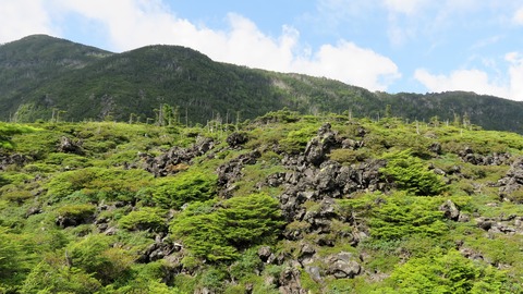 13�������˹������ϴ�����