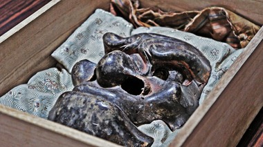 20�������̤٤��ߡ�����HDR�̿��������