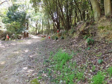 八徳寺から古墳公園への道