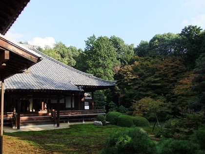 ɽ�񱡤����Ʋ��˾��