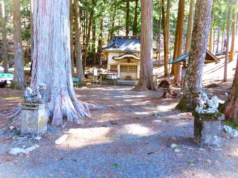 ⓪ÆàÎÉË¡²¦¿À¼Ò