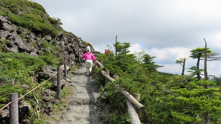 9�����ٷƽ�ޤǤ��Ⱦ���