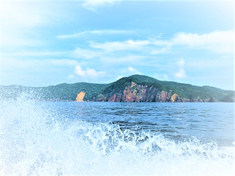 ¥¨¥ó¥¸¥óÁ´³«