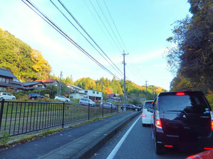 ��ƻ135���������