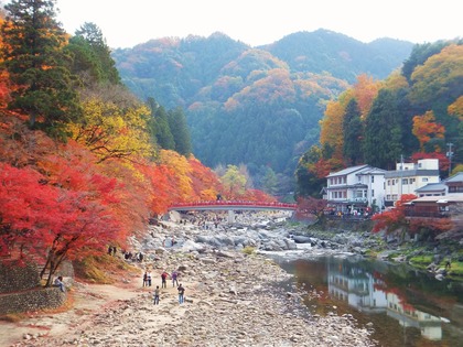 ����ϸ����Է��˾��