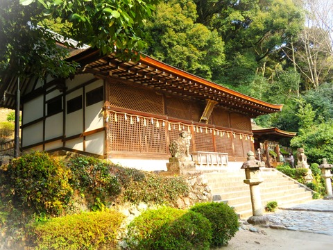 £°¡¡±§¼£¾å¿À¼Ò¡¦ËÜÅ¡¡¹ñÊõ