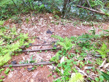 ���������ФϤʤ�