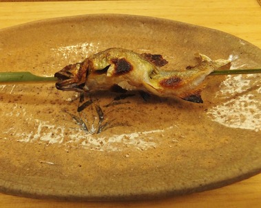 ���α��Ƥ�