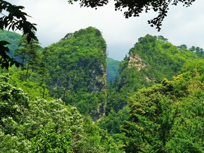 �������϶⻳��ƻͷ�γ��