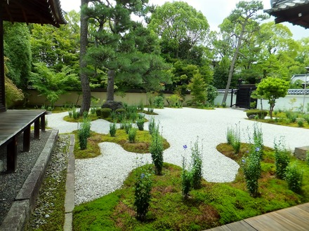 ����Ͷ�����