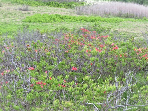 ���Ϥ�ޤ�¿���֤��դ���������󥲥ĥĥ�