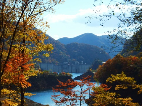 �����������դȻ��������