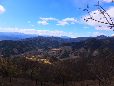 6�����л���ĺ����ξ�����򸫤�