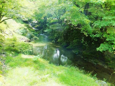 ÊöÄê»ûÆâ¤òή¤ì¤ëÀ¶Î®¡¦»ûëÀî