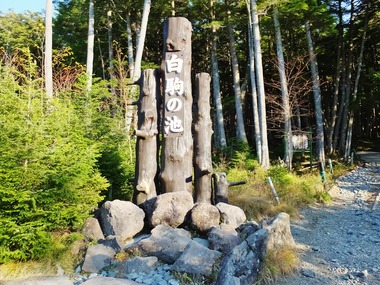 1�������