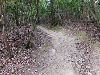 ここらで雨もきつく、道も険しくなった