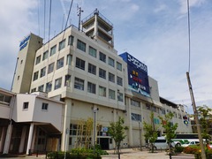 �������ϵ������