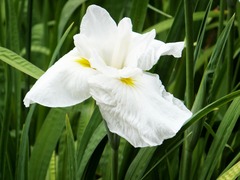 ���ϡ������