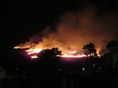 £²£°Àª¤¤¤è¤¯Ç³¤¨À¹¤ë²Ð