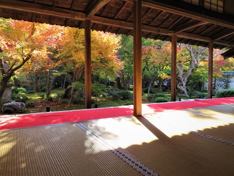 Ԥ�������۱�����֥�����