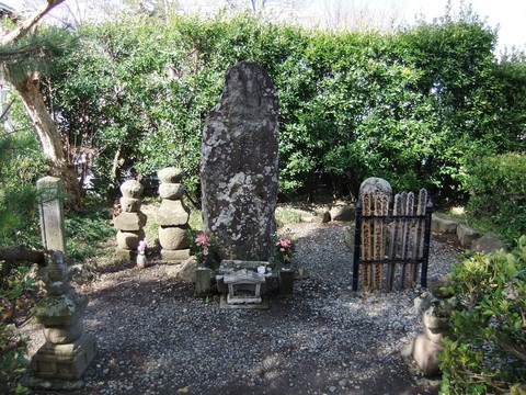 ����ŵ�����˸�����