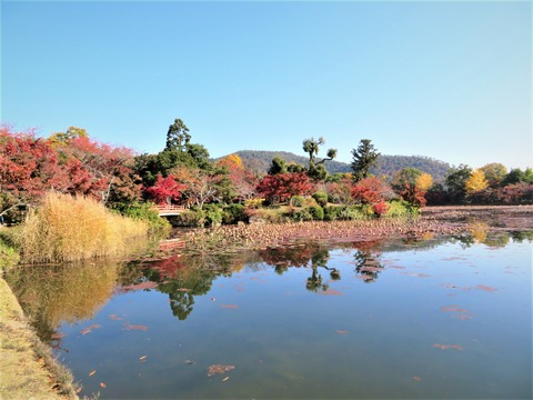 �������ӡ�ŷ����ι���