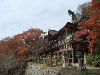 �����ҽ�