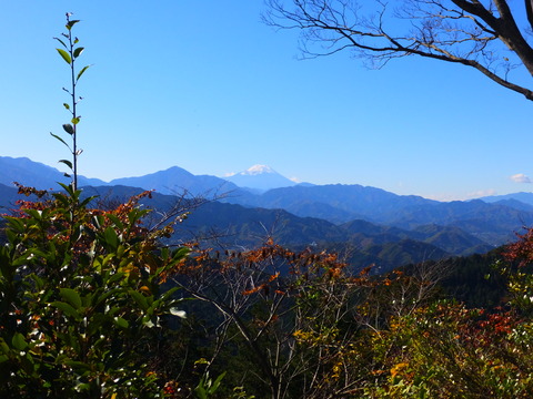 21���ٻλ����