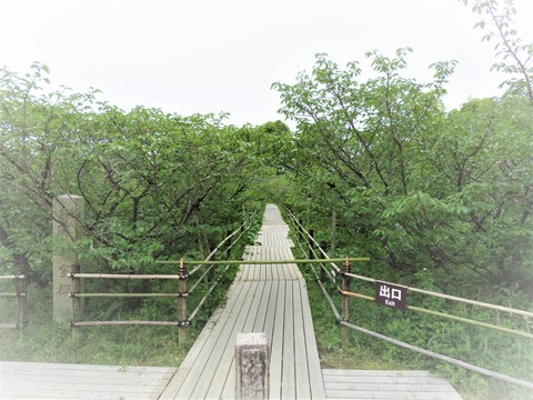 ¿ÎÏ»û¡¦¸æ¼¼ºù